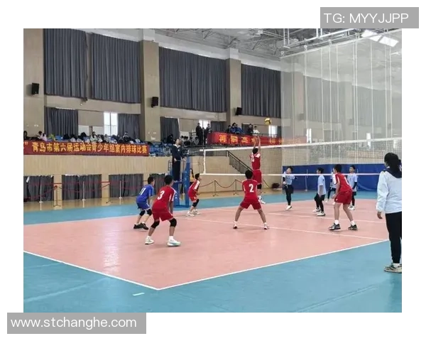 广州排球队的默契配合与战术探讨聚焦排球运动的团队精神与协作技巧